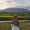 dwina_adf