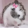penelopetipss