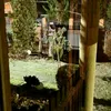 paulinka683
