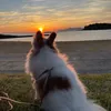 dycw3fqllmst