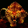 lk9ali