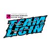 teamlicin