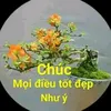thuthu208