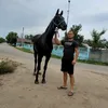 alinsorin24