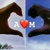 user8145782513442