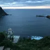 sandra_arm