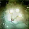 alienistic.cat.mp4