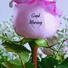 yasin95641