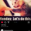 jimmyvsdaworld