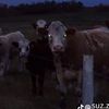 jk_1302