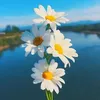 llinh.19