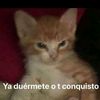 josetadeo_87