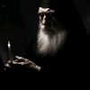 monk☦️life