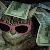 userfmrrcut5jq