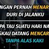hamba767