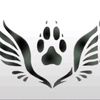 scotty_188