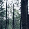 yourminezxx_