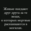 fred2323166732