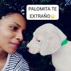 sirioaleja8