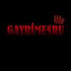 🇹🇷 Gayrimeşru.Türkiye🇹🇷