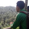 mazz_heri
