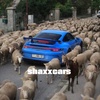 shaxxcars