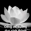 phm.dip.phng.tm