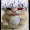 dyqjgqx5bcg6