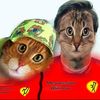 catz0210