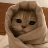 ._burritt0cat