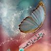 sweeth870