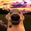 _111jorjik111_2