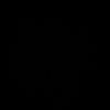 xilx_121