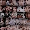 greysanatomy_fan_alltime