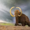 bilal.rahmani076