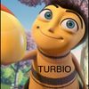 turbio_avejasimp