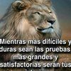 luisenriquemele74