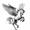 imqee1