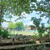 upi_kalsel
