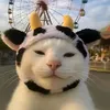 _phthao5_