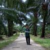 irfan.5618