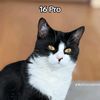 jk._314