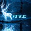 PotterLex