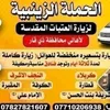 mahdi_alsafy12
