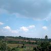 ardhyansyah366