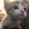 xiaoki__