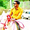dilawarali3127