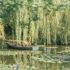 _.forest._witch_