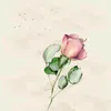 hayat_yasama_deger