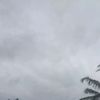 jodhidwiakbar0708